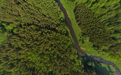 11.1. Minijos kraštovaizdžio draustinis ties Dauginčiais.jpg